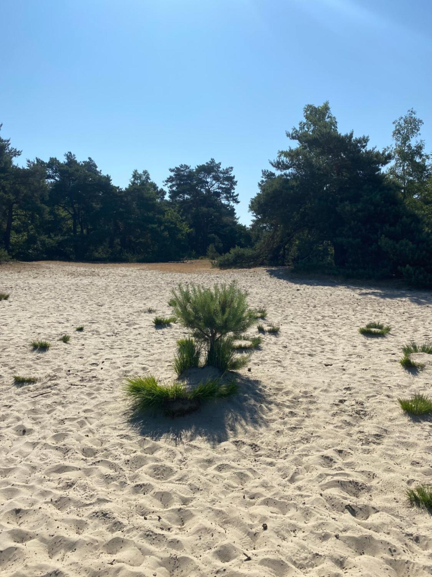 De Graslelie Apartman Schoten Kültér fotó
